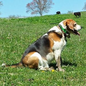 Meet your Posher, Jacqueline